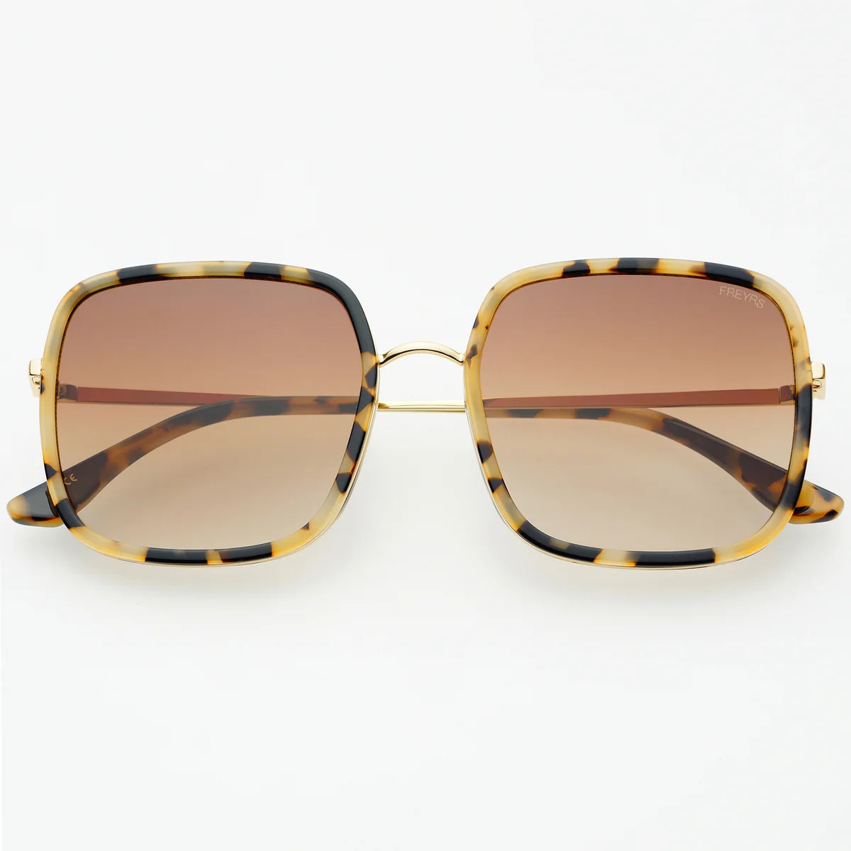 Cosmo oversized square Sunglasses