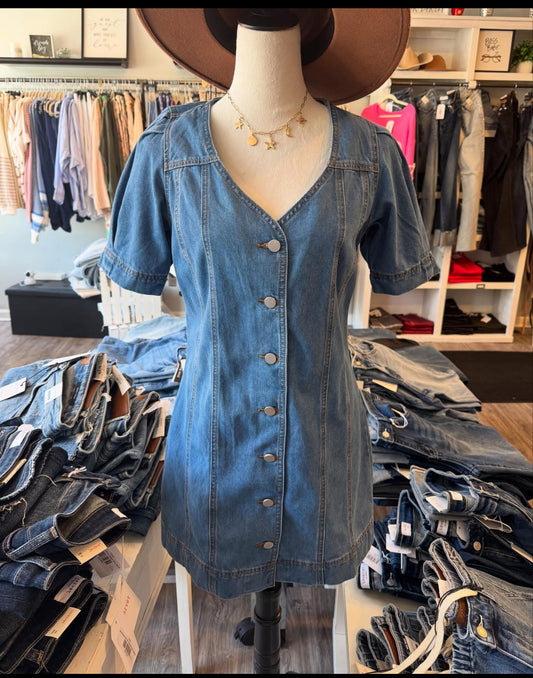 Bri Button Down Denim Mini Dress