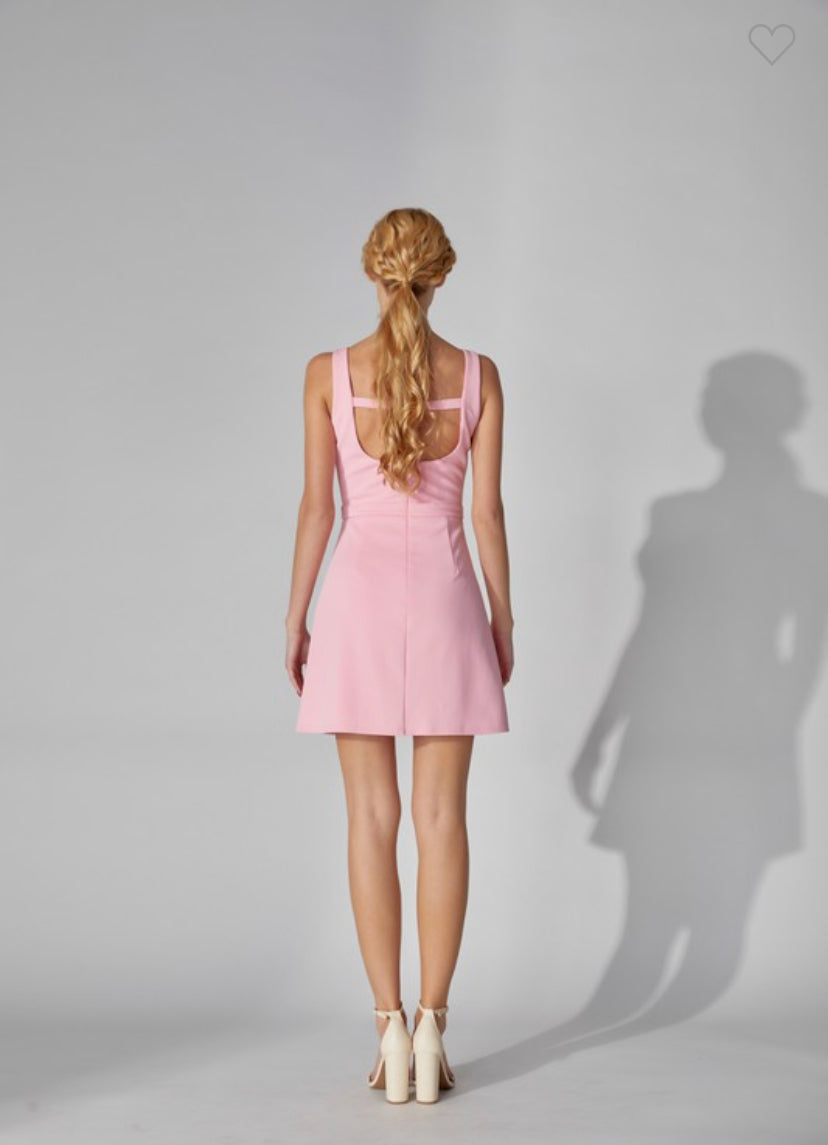 Paloma Pink Dress